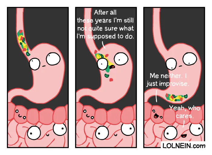 A Question Of Digestion
