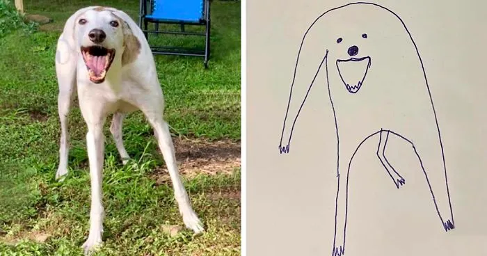 Person Tries Drawing His Dog, Accidentally Starts Creating Masterpieces