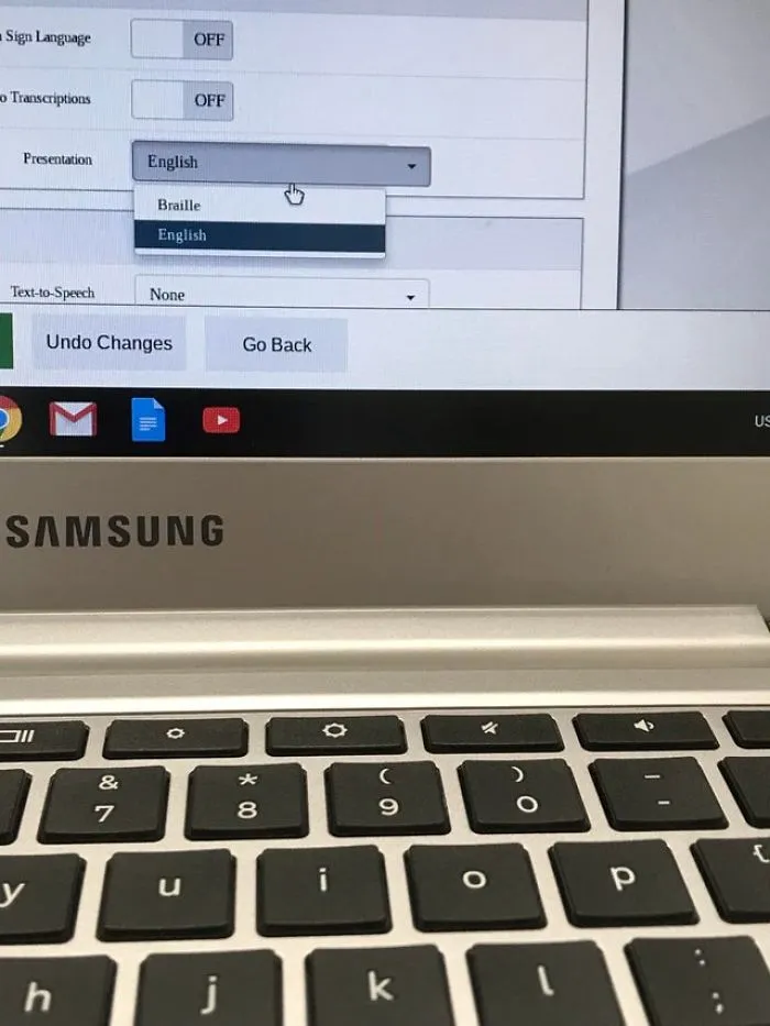 The English Caasp (A Standardized Test) Practice Test Has Braille As An Option