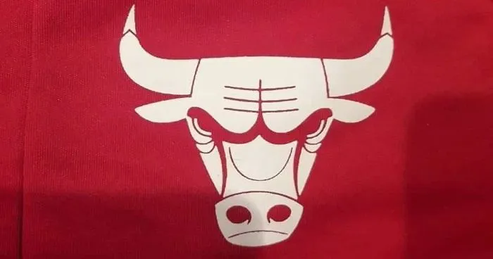 Someone Noticed That The Chicago Bulls’ Logo Looks NSFW When Flipped Upside-Down