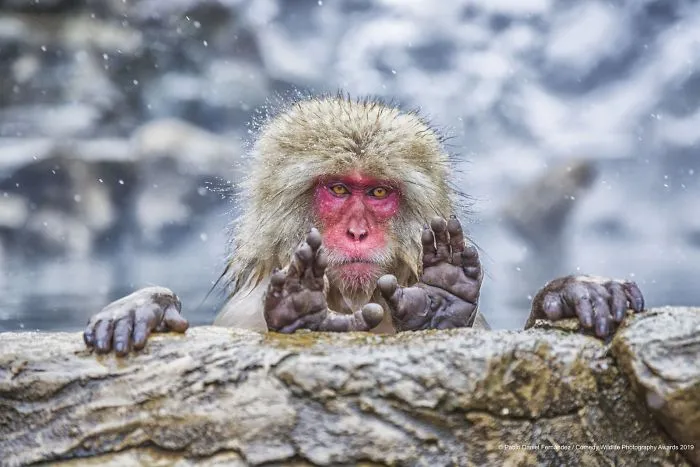 What Are You Looking For?