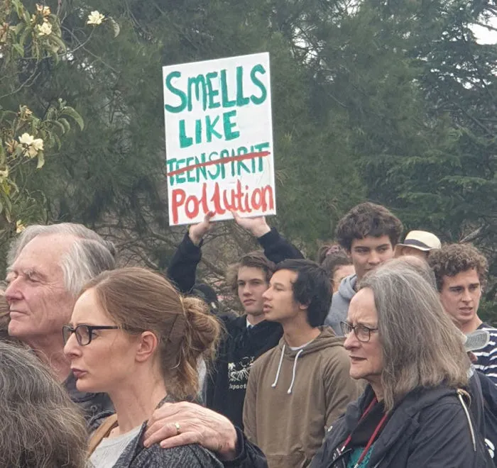 Los 30 mejores carteles de la manifestación por el clima de 2019