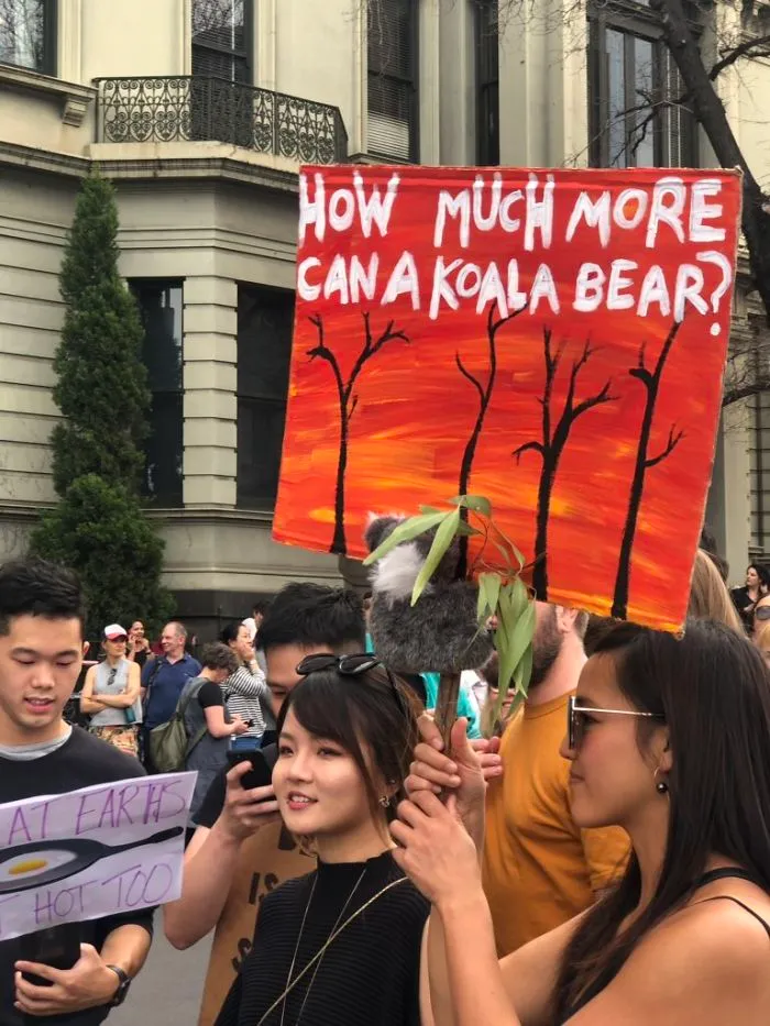 Los 30 mejores carteles de la manifestación por el clima de 2019