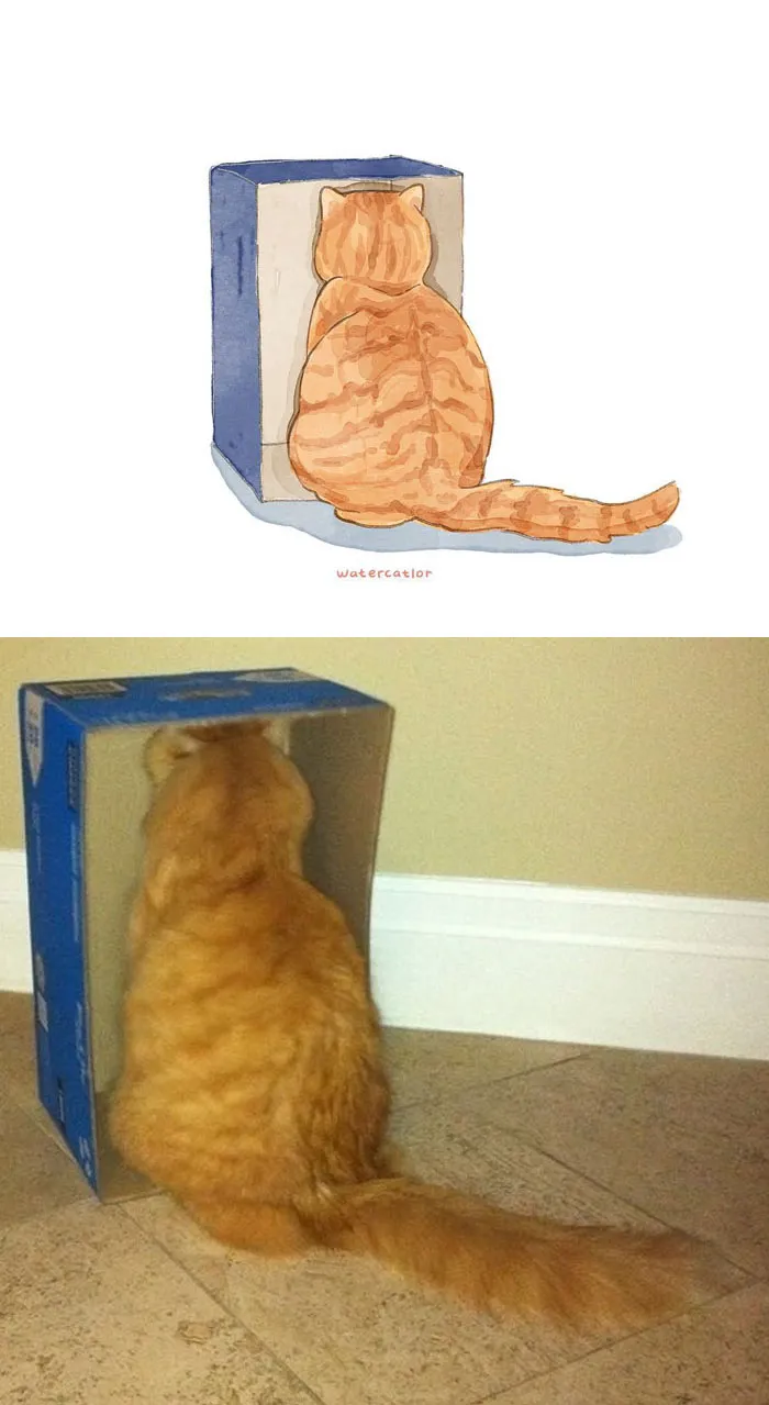 30 Of The Funniest Internet-Famous Cat Pics Get 'Watercolorized' By Amelia Rizky