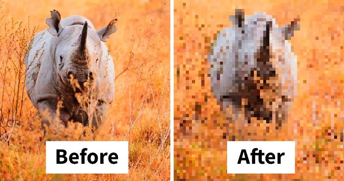 These 22 Pics Are Composed Of As Many Pixels As There Are Animals Still Alive In These Species