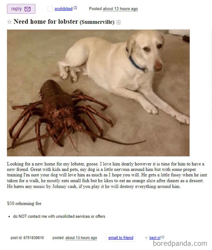 Goose The Lobster (Hates Johnny Cash)