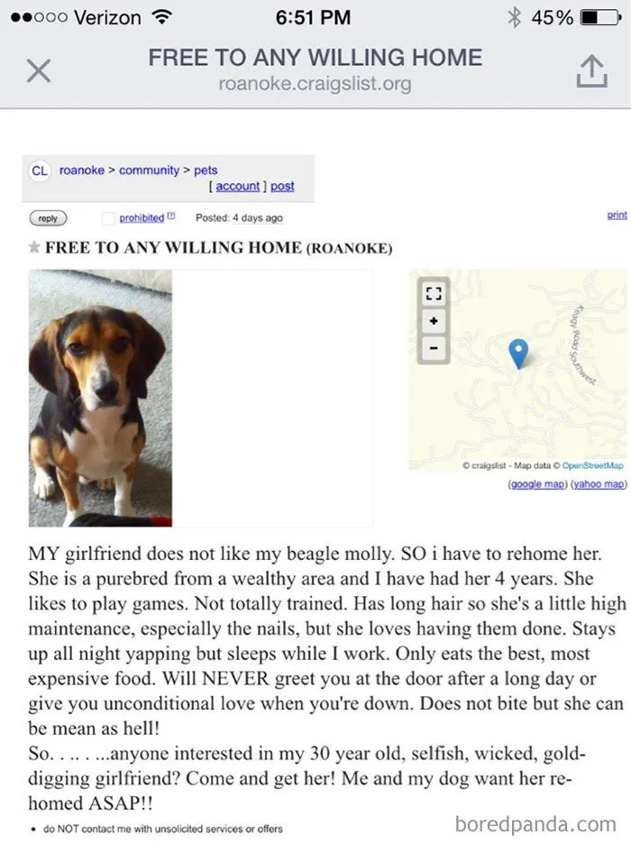 Saw This Gem On My Local Craigslist