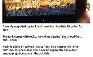 30 Of The Funniest And Strangest Ads Ever Seen On Craigslist