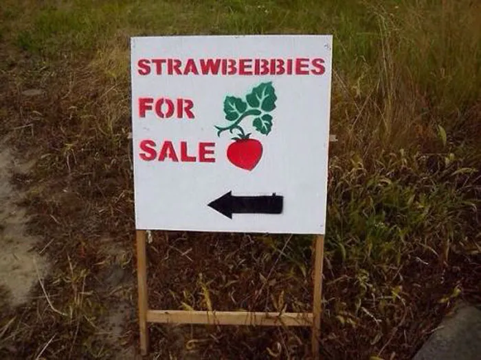 These 40 People Used Incorrect But Similar-Sounding Words, And The Results Are Hilarious