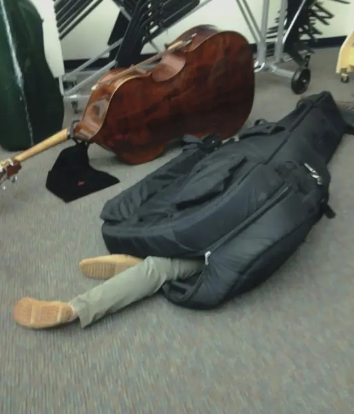 Here We See A Wild Bass Player, Sleeping Soundly In Its' Cocoon