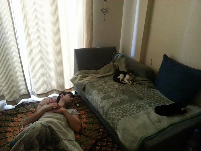 A Friend Stayed Over Last Night. When I Left The Room To Take A Shower, He Was Sleeping On The Couch; When I Came Back...