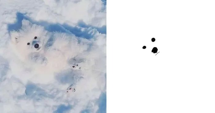 This Twitter Account Posts ‘Poorly Drawn Animals’ And Here Are 37 Of The Funniest Ones