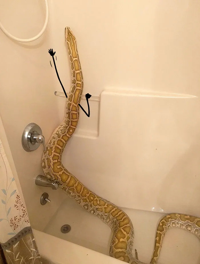 Let Me Take A Quick Shower