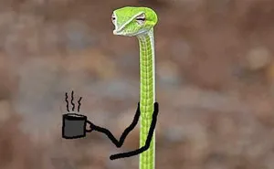 People Are Doodling On Snake Pics And The New Scenarios Are Hilarious (30 Pics)