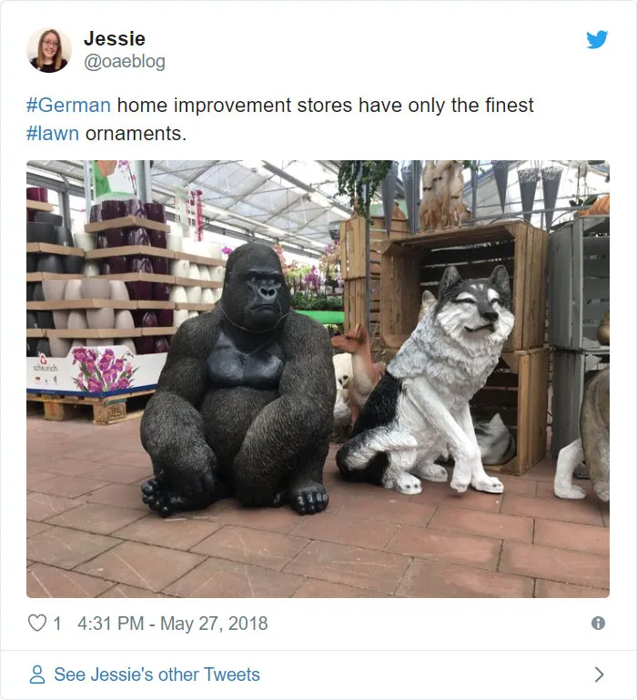 American Girl Living In Germany Post Things She Finds Unintentionally Funny And Here Are 42 Of The Best