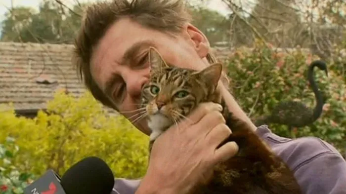 Sally, A Tabby Who Saved Her 49-Year-Old Owner From A Burning House