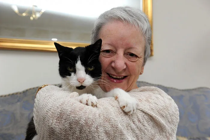Tom, A 24-Year-Old Cat Who Discovered His Owner's Cancer