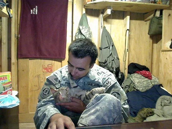 Koshka, The Military Cat That Helped A Soldier Overcome Their Struggle With Depression & Suicidal Thoughts