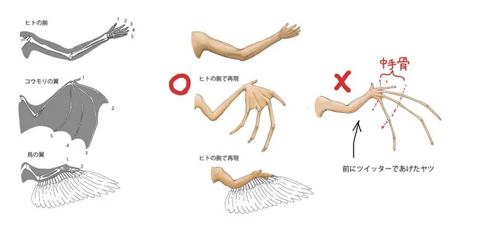 Japanese Illustrator Shows How Humans Would Look If We Had Various Animals' Bone Structures (14 Pics)