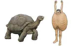Japanese Illustrator Shows How Humans Would Look If We Had Various Animals' Bone Structures (14 Pics)