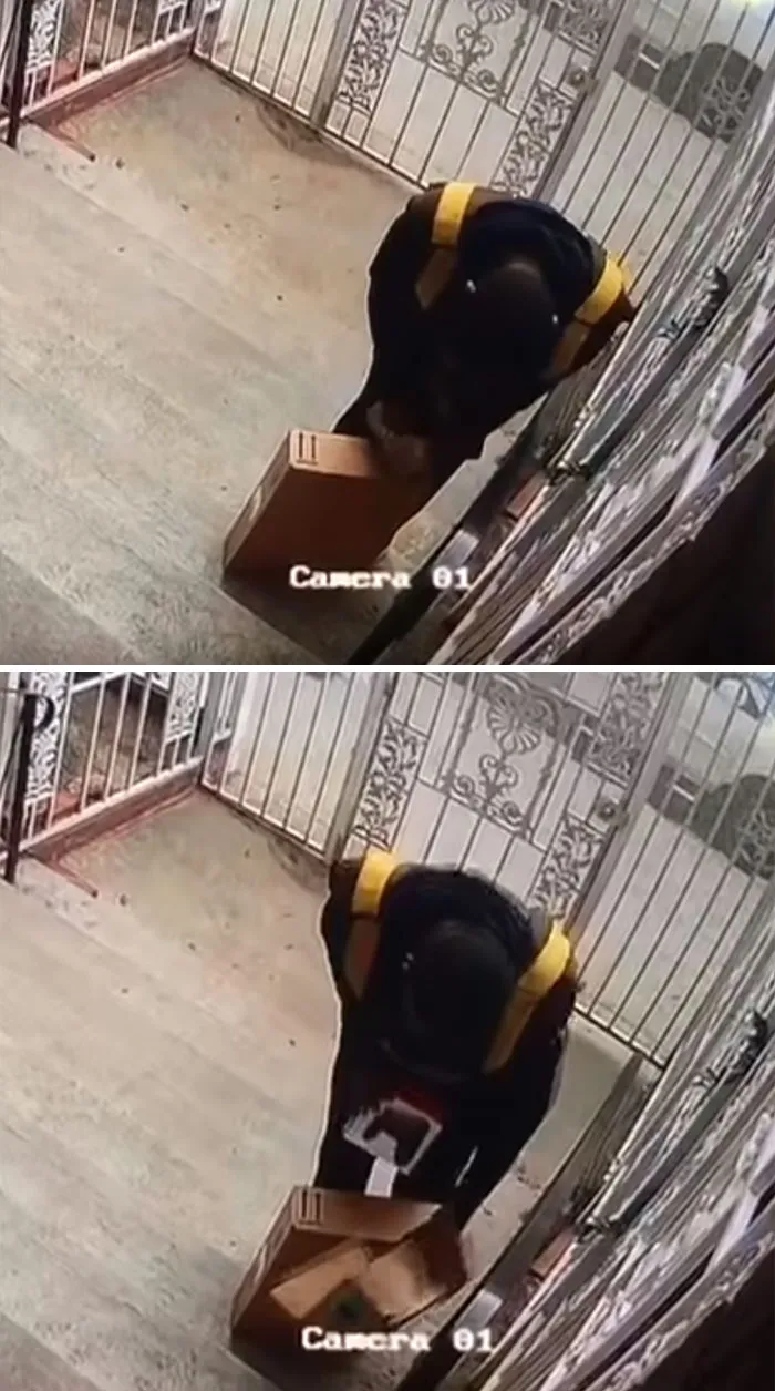 Repartidor abriendo un paquete navideño y robando el contenido al repartirlo