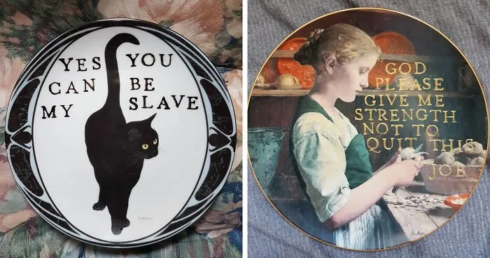 My 40 'Very Ugly Plates' With Dark Humor Captions