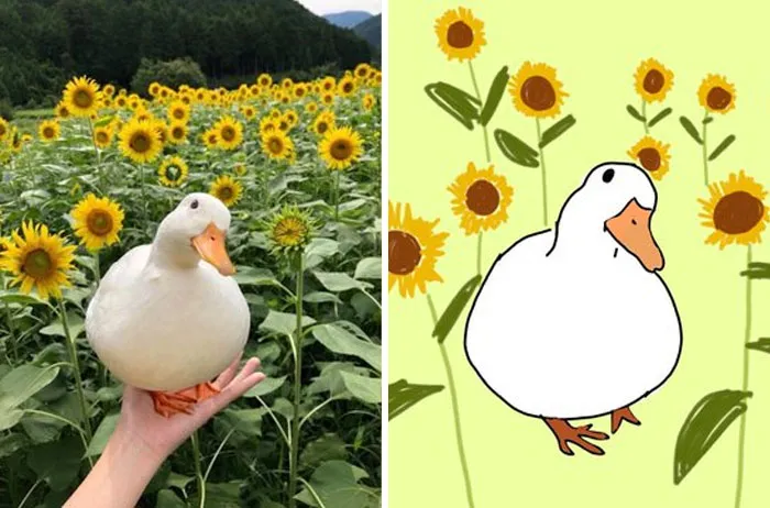 This Twitter Account Posts ‘Poorly Drawn Animals’ And Here Are 37 Of The Funniest Ones