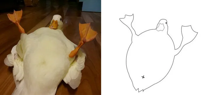 This Twitter Account Posts ‘Poorly Drawn Animals’ And Here Are 37 Of The Funniest Ones