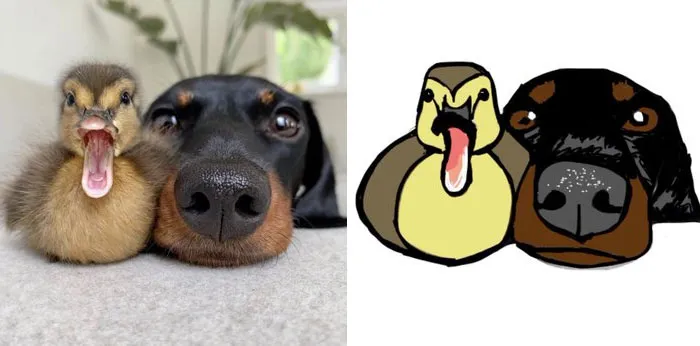 This Twitter Account Posts ‘Poorly Drawn Animals’ And Here Are 37 Of The Funniest Ones