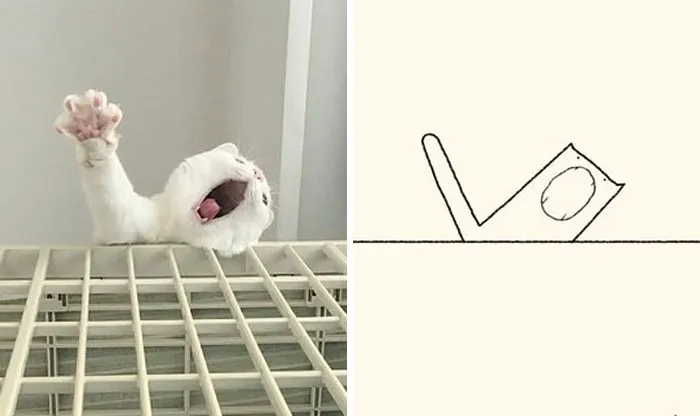 This Twitter Account Posts ‘Poorly Drawn Animals’ And Here Are 37 Of The Funniest Ones