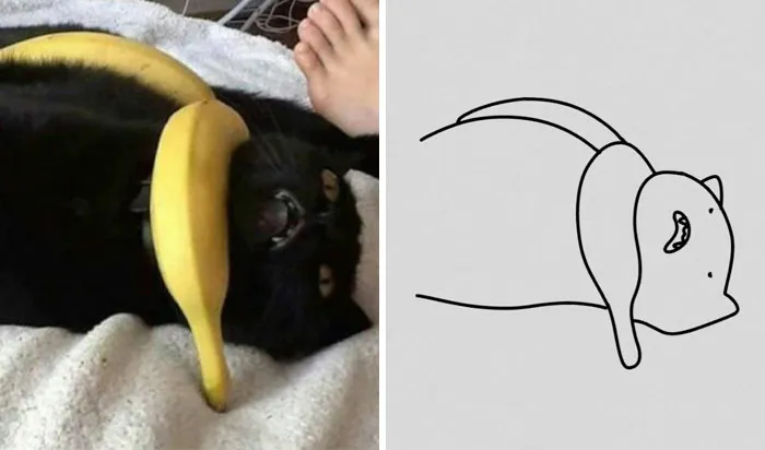 This Twitter Account Posts ‘Poorly Drawn Animals’ And Here Are 37 Of The Funniest Ones
