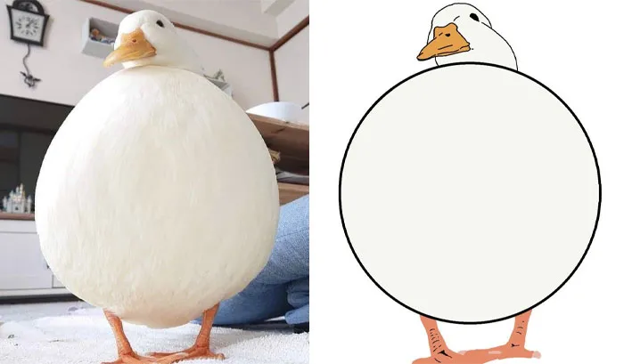 This Twitter Account Posts ‘Poorly Drawn Animals’ And Here Are 37 Of The Funniest Ones