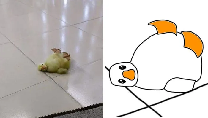 This Twitter Account Posts ‘Poorly Drawn Animals’ And Here Are 37 Of The Funniest Ones
