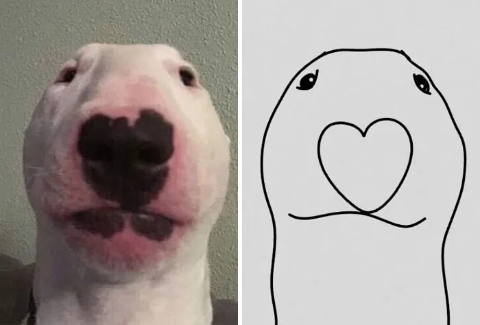 This Twitter Account Posts ‘Poorly Drawn Animals’ And Here Are 37 Of The Funniest Ones