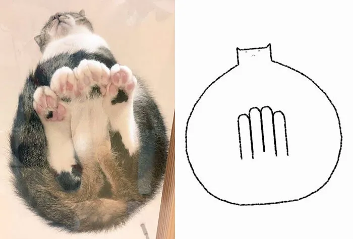 This Twitter Account Posts ‘Poorly Drawn Animals’ And Here Are 37 Of The Funniest Ones