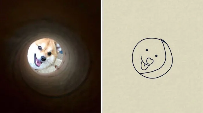 This Twitter Account Posts ‘Poorly Drawn Animals’ And Here Are 37 Of The Funniest Ones