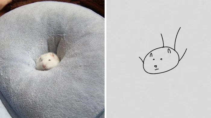 This Twitter Account Posts ‘Poorly Drawn Animals’ And Here Are 37 Of The Funniest Ones