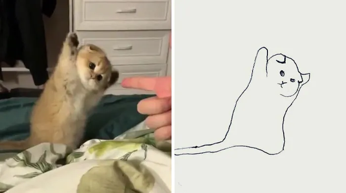 This Twitter Account Posts ‘Poorly Drawn Animals’ And Here Are 37 Of The Funniest Ones