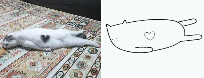 This Twitter Account Posts ‘Poorly Drawn Animals’ And Here Are 37 Of The Funniest Ones