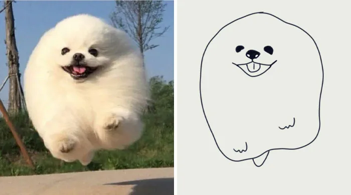 This Twitter Account Posts ‘Poorly Drawn Animals’ And Here Are 37 Of The Funniest Ones