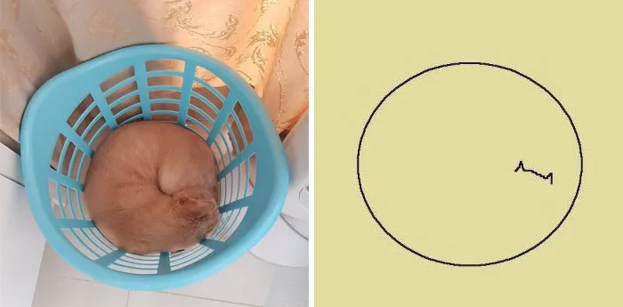This Twitter Account Posts ‘Poorly Drawn Animals’ And Here Are 37 Of The Funniest Ones
