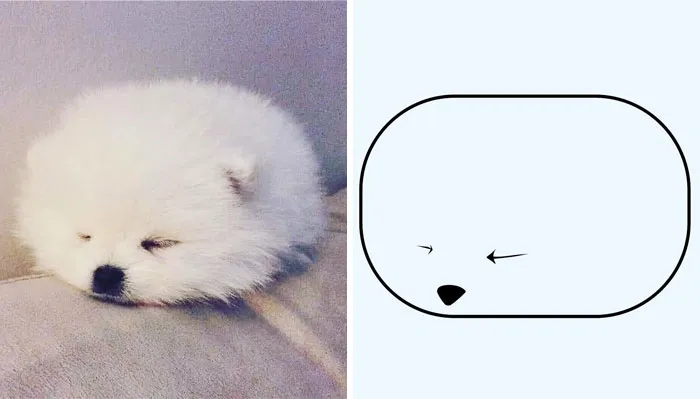 This Twitter Account Posts ‘Poorly Drawn Animals’ And Here Are 37 Of The Funniest Ones