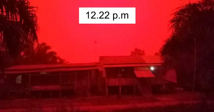 Indonesian Forests Are Burning And People Are Alarmed By Red-Blood Sky