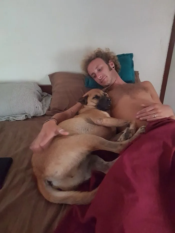 People Are Posting Rescue Dog Stories In Response To This Viral Post About An Abandoned Dog (30 Stories)