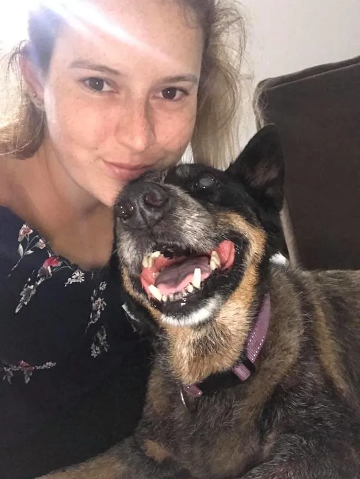 People Are Posting Rescue Dog Stories In Response To This Viral Post About An Abandoned Dog (30 Stories)