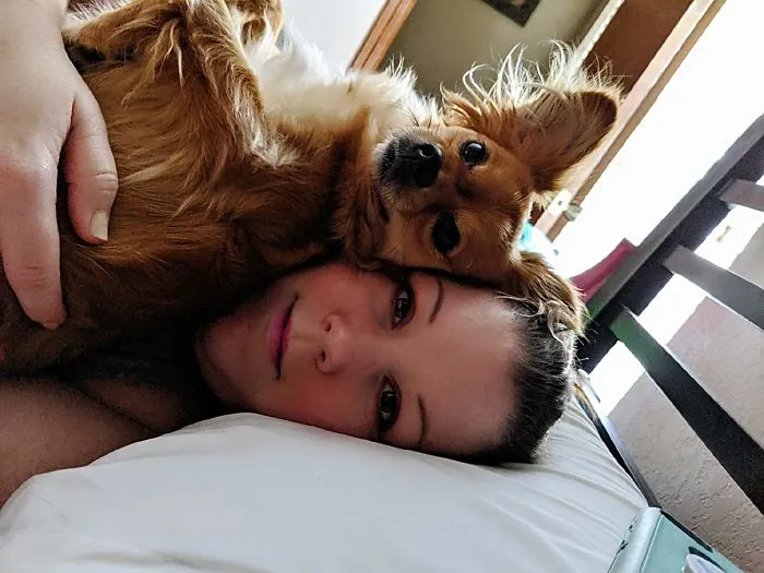 People Are Posting Rescue Dog Stories In Response To This Viral Post About An Abandoned Dog (30 Stories)