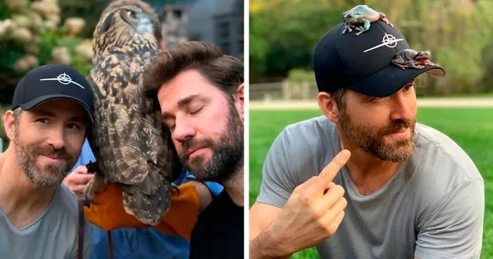 Ryan Reynolds Proves He's Incapable Of Not Being Cheeky As He Posts Animal Pics And Still Manages To Troll John Krasinski