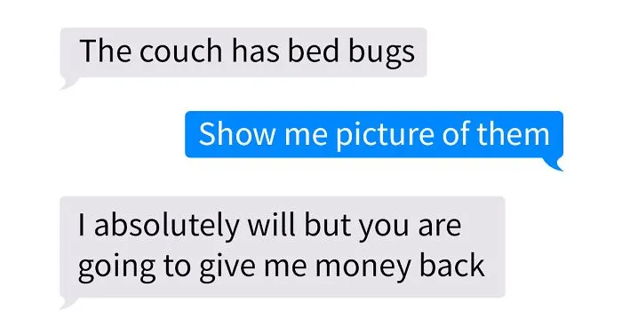 "Single Mom" Tries To Scam Person She Bought A Couch From With Fake Bed Bug Pics, Gets Owned