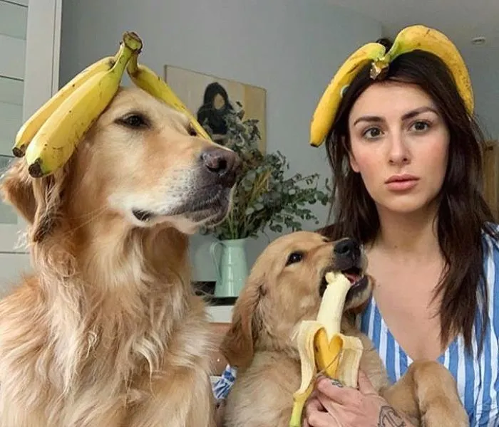La conexión de esta chica con sus perros es la definición de amigos del alma (30 imágenes)