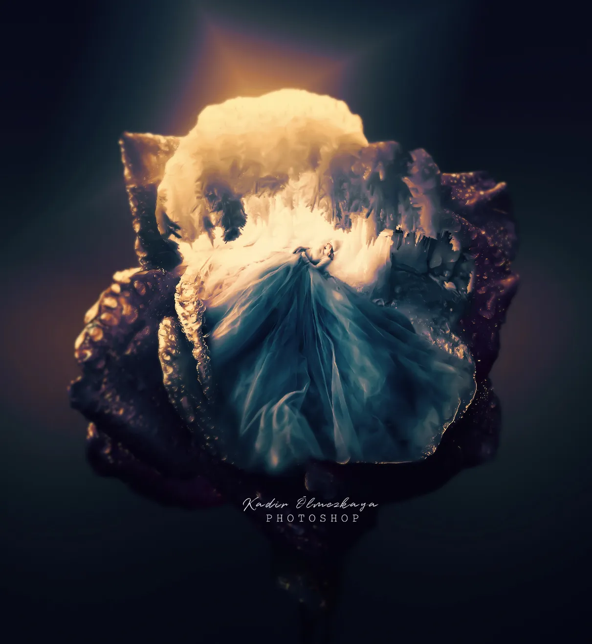 Photo Manipulation